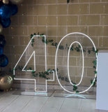 Neon Light Up Numbers White or Multi Coloured