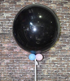 Gender Reveal Giant Confetti & Helium Filled Balloon From